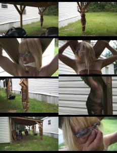 www.lynnwinters.com - Lean-to Post Tied  thumbnail
